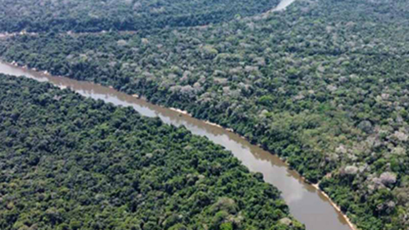 Erdőn keresztülhaladó folyó